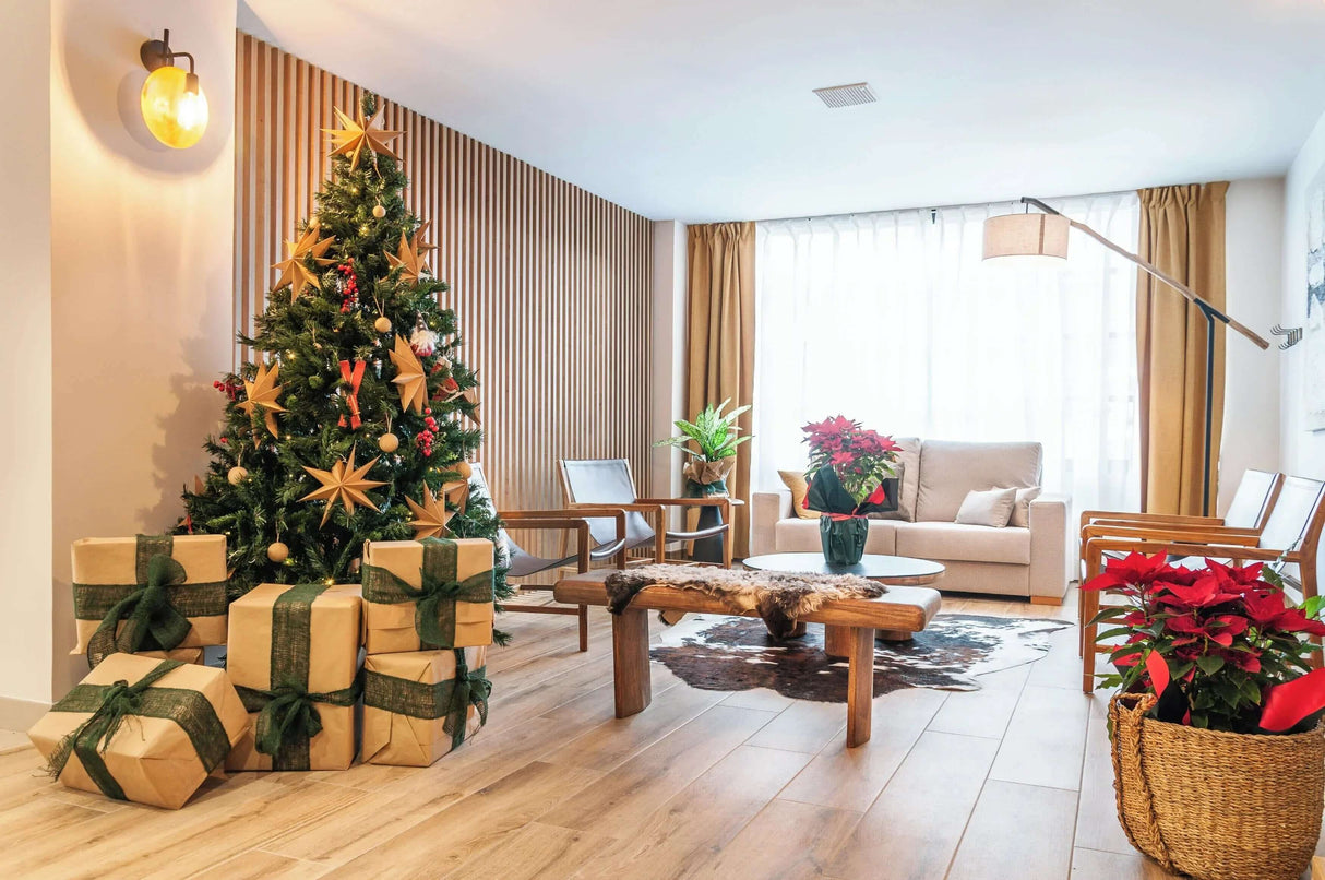 Hotel Viella - -CaranvaSports - temporada 2026