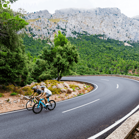 alquiler bici carretera mallorca