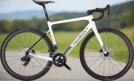 alquiler bicicleta valencia carretera