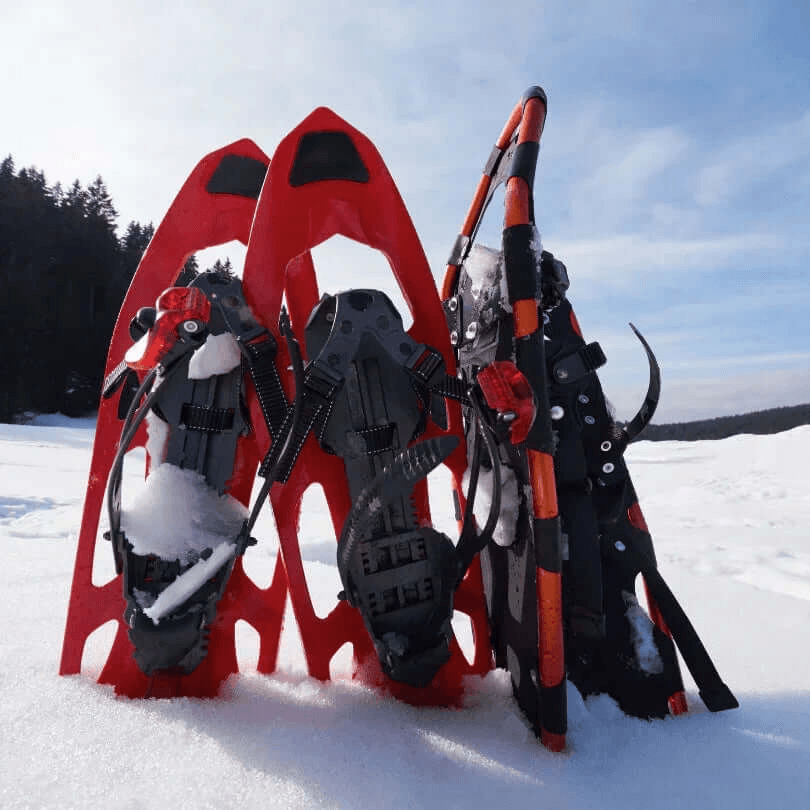 Alquiler Esquís Formigal - Raquetas / Principiante / Equipo Completo -CaranvaSports - temporada 2026