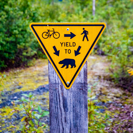 alquiler bici senda del oso